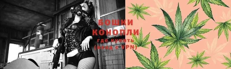 Бошки Шишки OG Kush  MEGA как зайти  Мурманск  как найти наркотики 